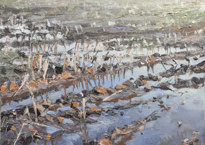 Mathias Meinel: Überschwemmtes Feld, 30 x 40 cm