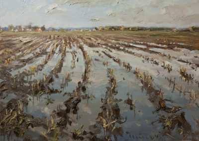 Mathias Meinel, Feld nach Regen, Öl auf Leinwand, ca. 40 x 50 cm